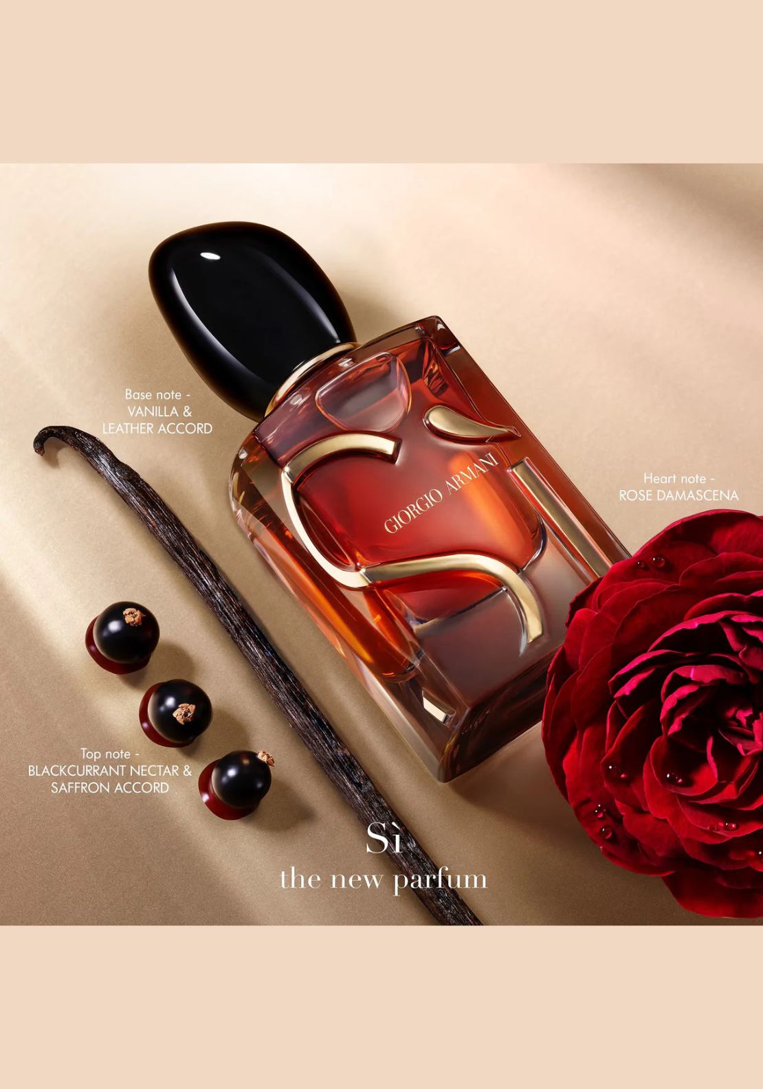Armani Si 2 Shaws Department Stores