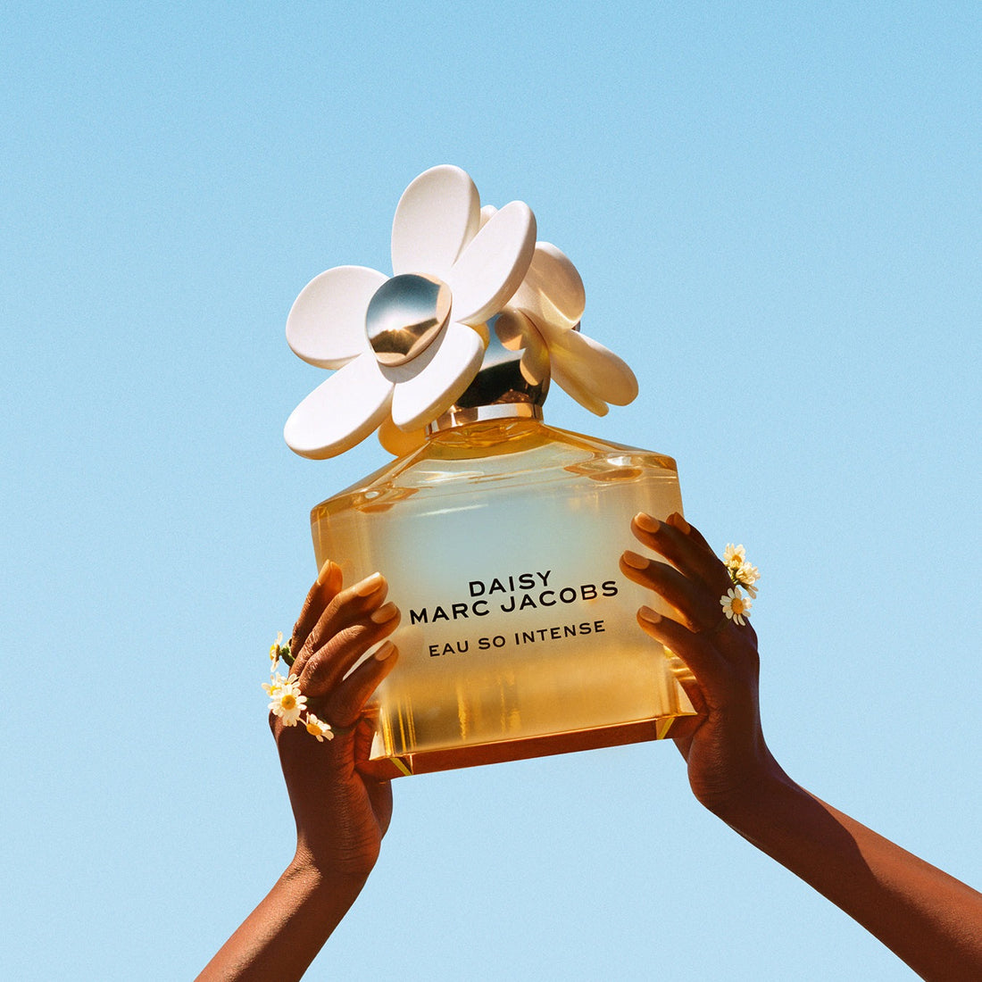 Sale Fragrance Debenhams Marc Jacobs Perfume Daisy Eau So