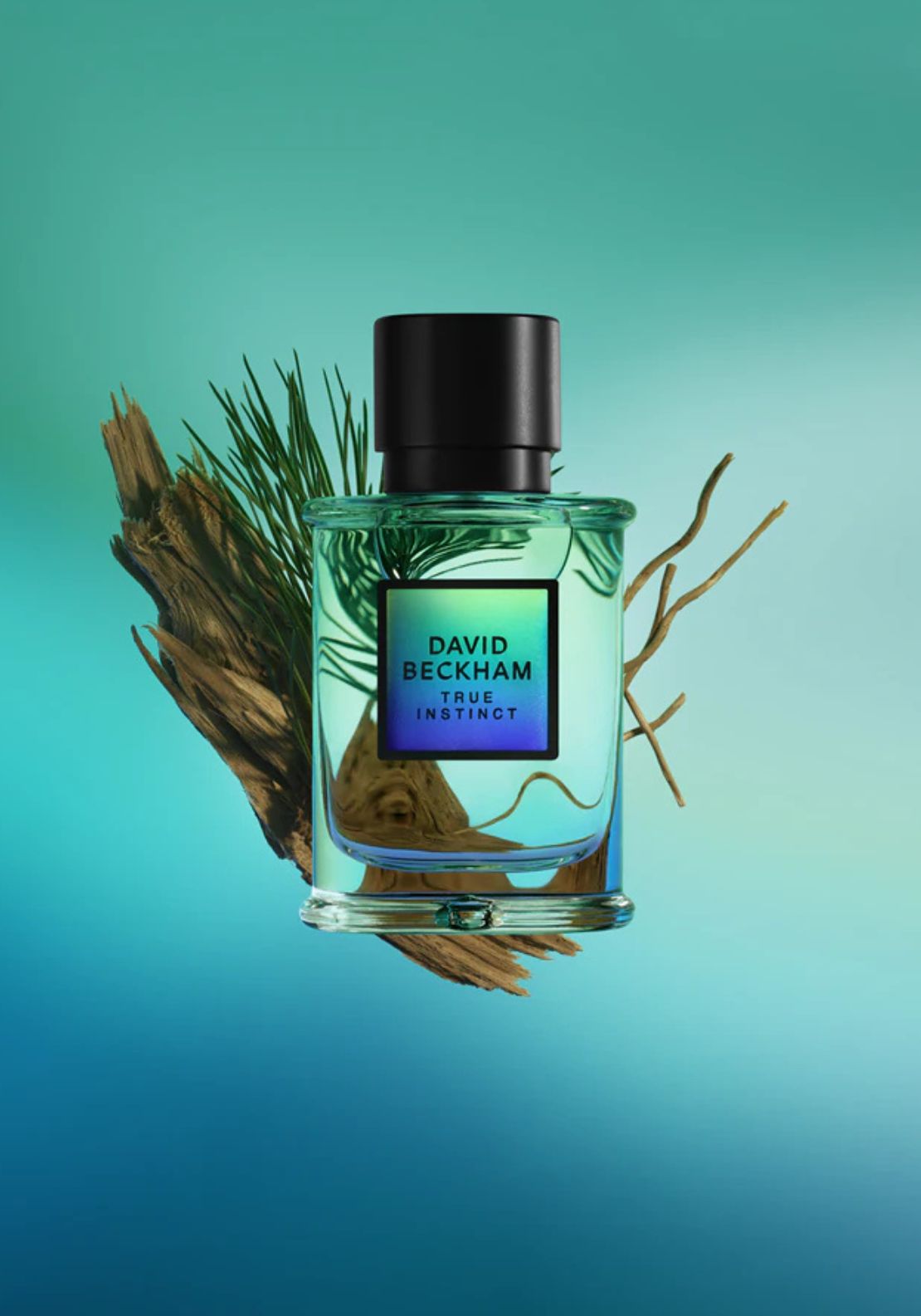 True Instinct - True Instinct