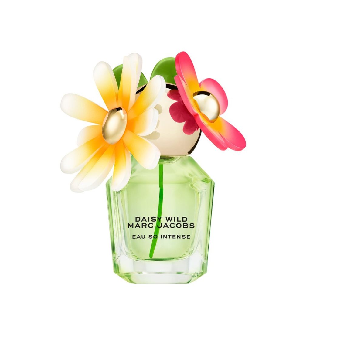Marc Jacobs Daisy Wild Intense Eau de Parfum 30ml 1 Shaws Department Stores