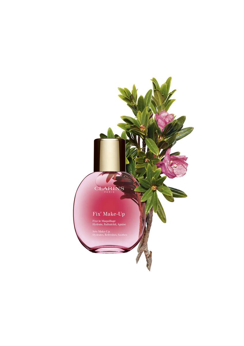 Clarins Fix&