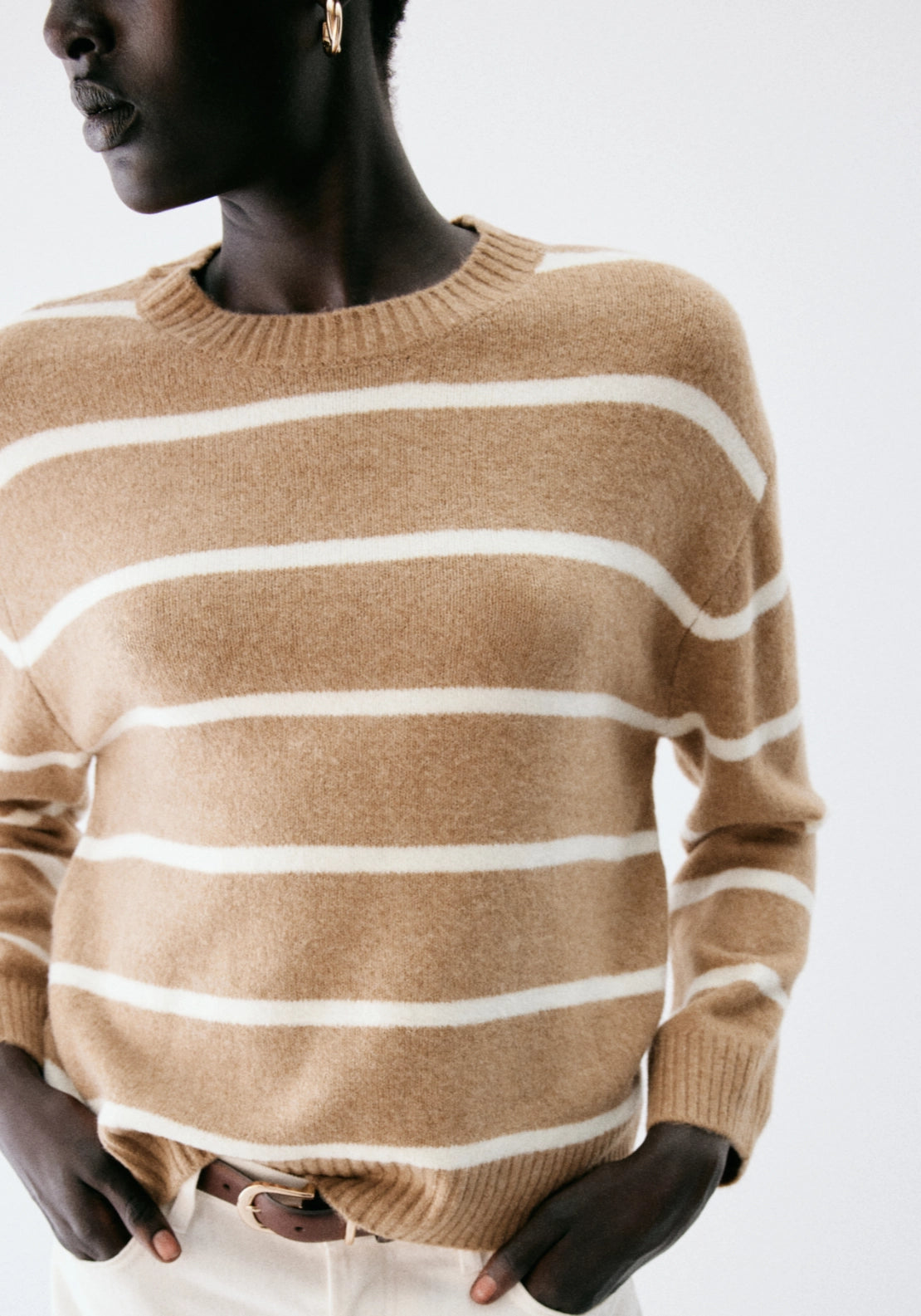 Striped Crew Neck Sweater - Brown