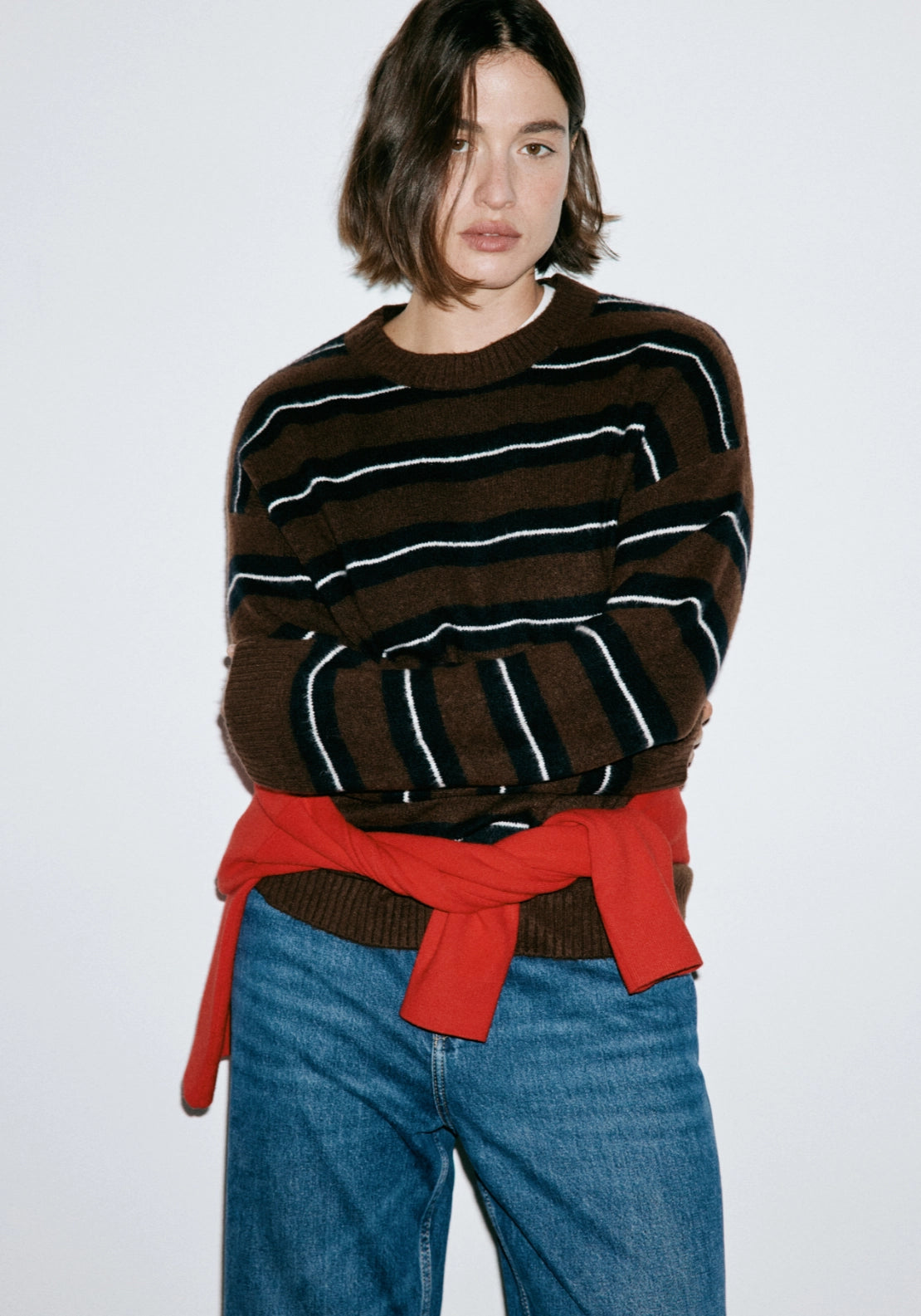 Striped Crew Neck Sweater - Brown