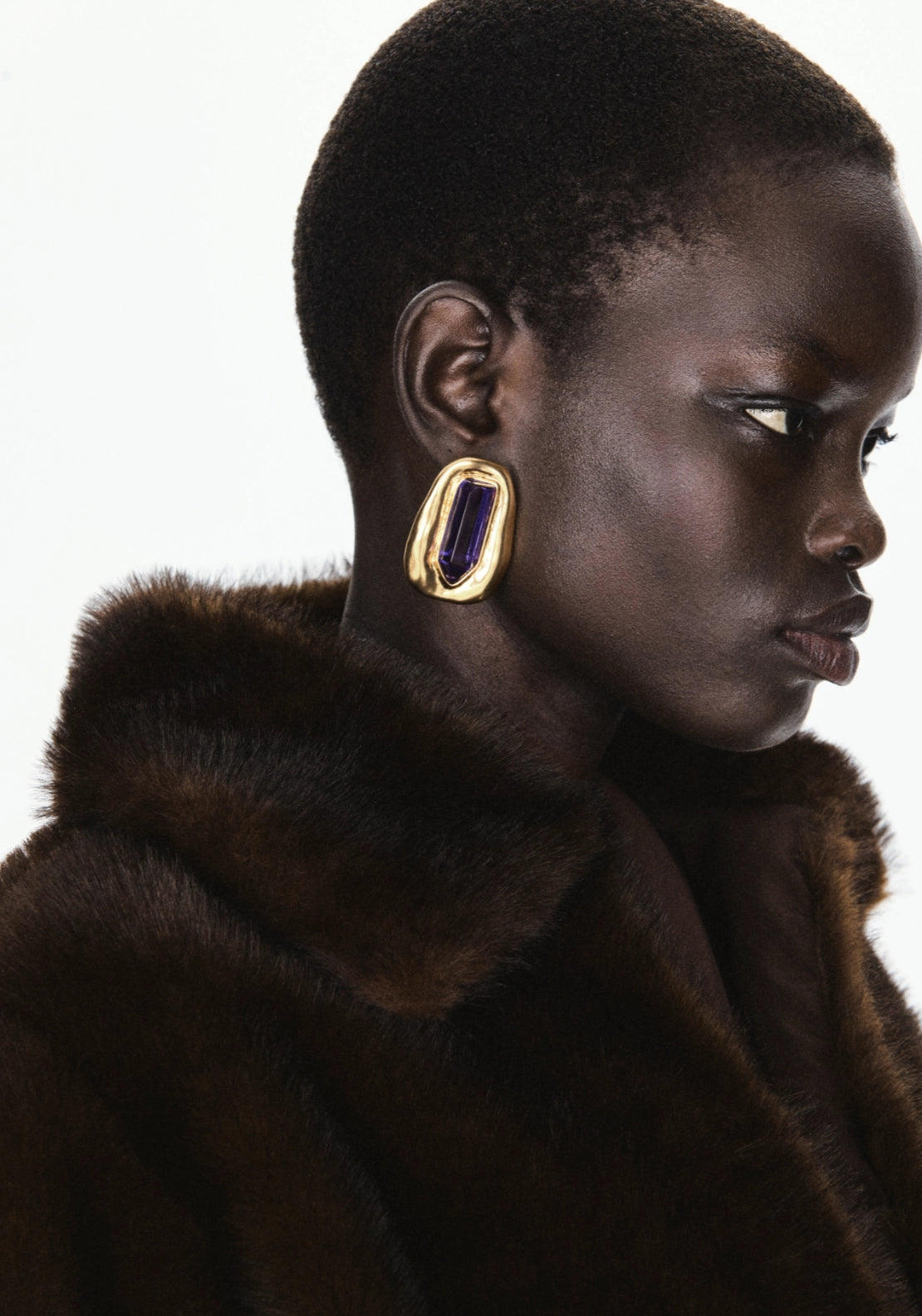 Fur Coat With Shirt Collar - Brown