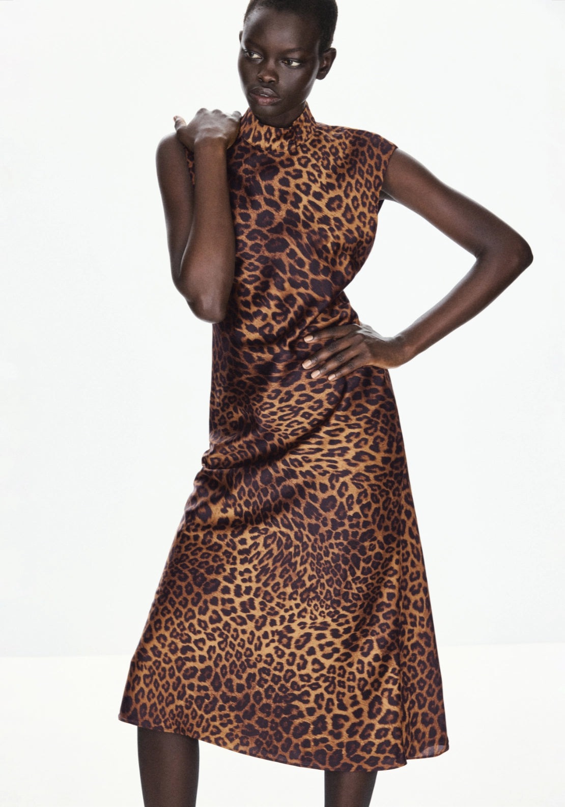 Leopard Dress With Perkins Collar - Brown