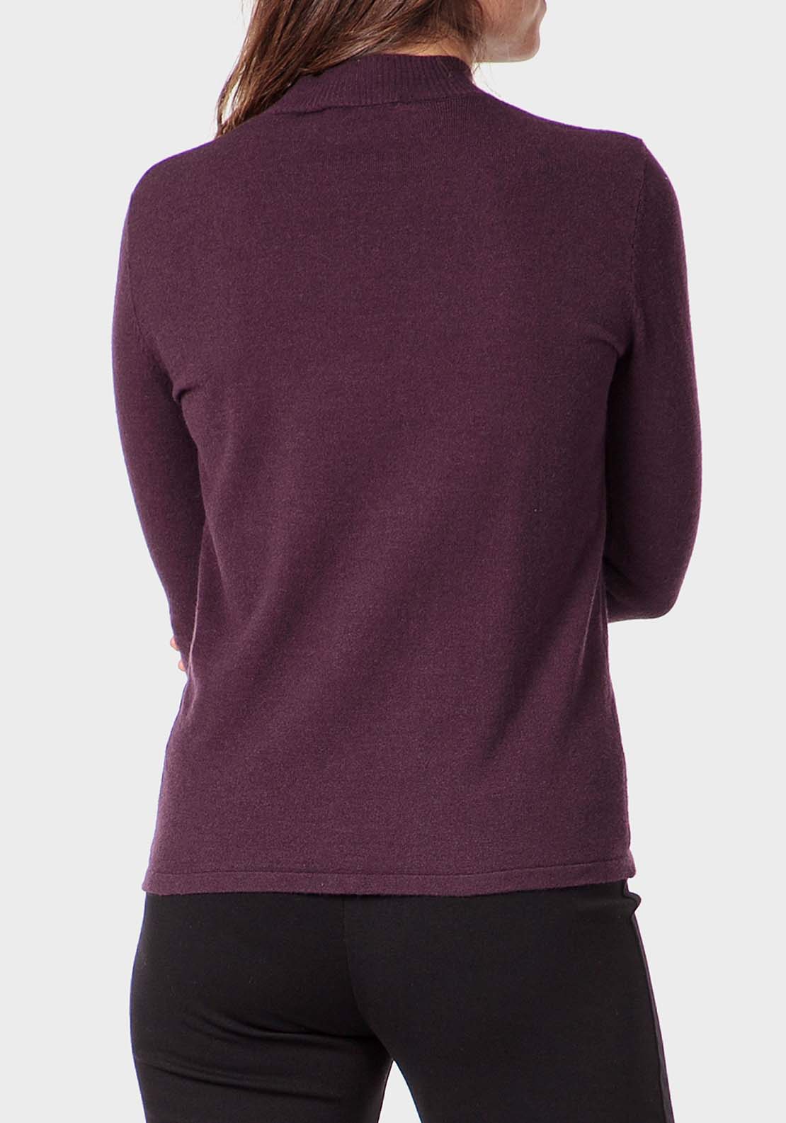 Punt Roma Basic Semi Turtleneck Sweater - Purple 2 Shaws Department Stores