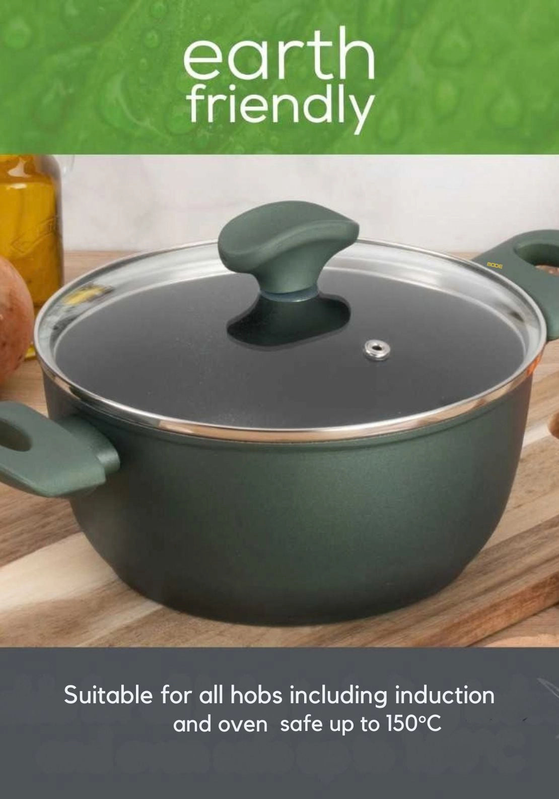 Earth Friendly Covered Stockpot 24cm - Green