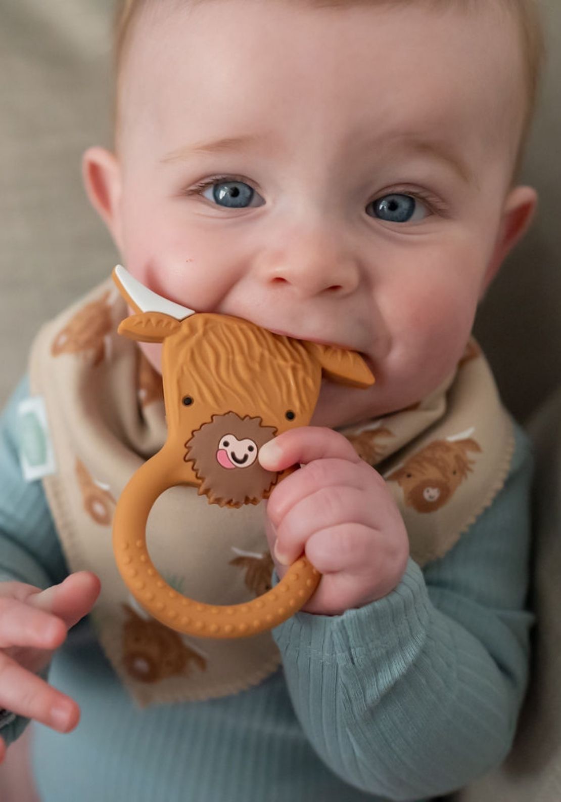 Highland Cow Teether - Brown