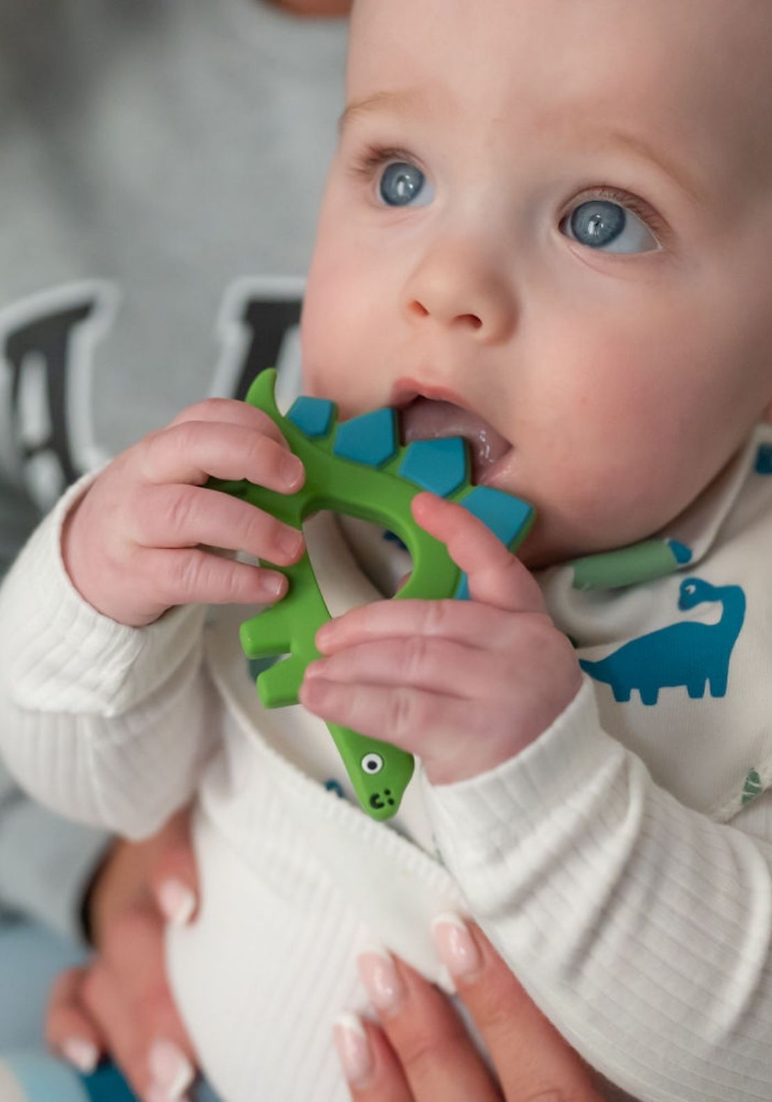 Dinosaur Teether - Green