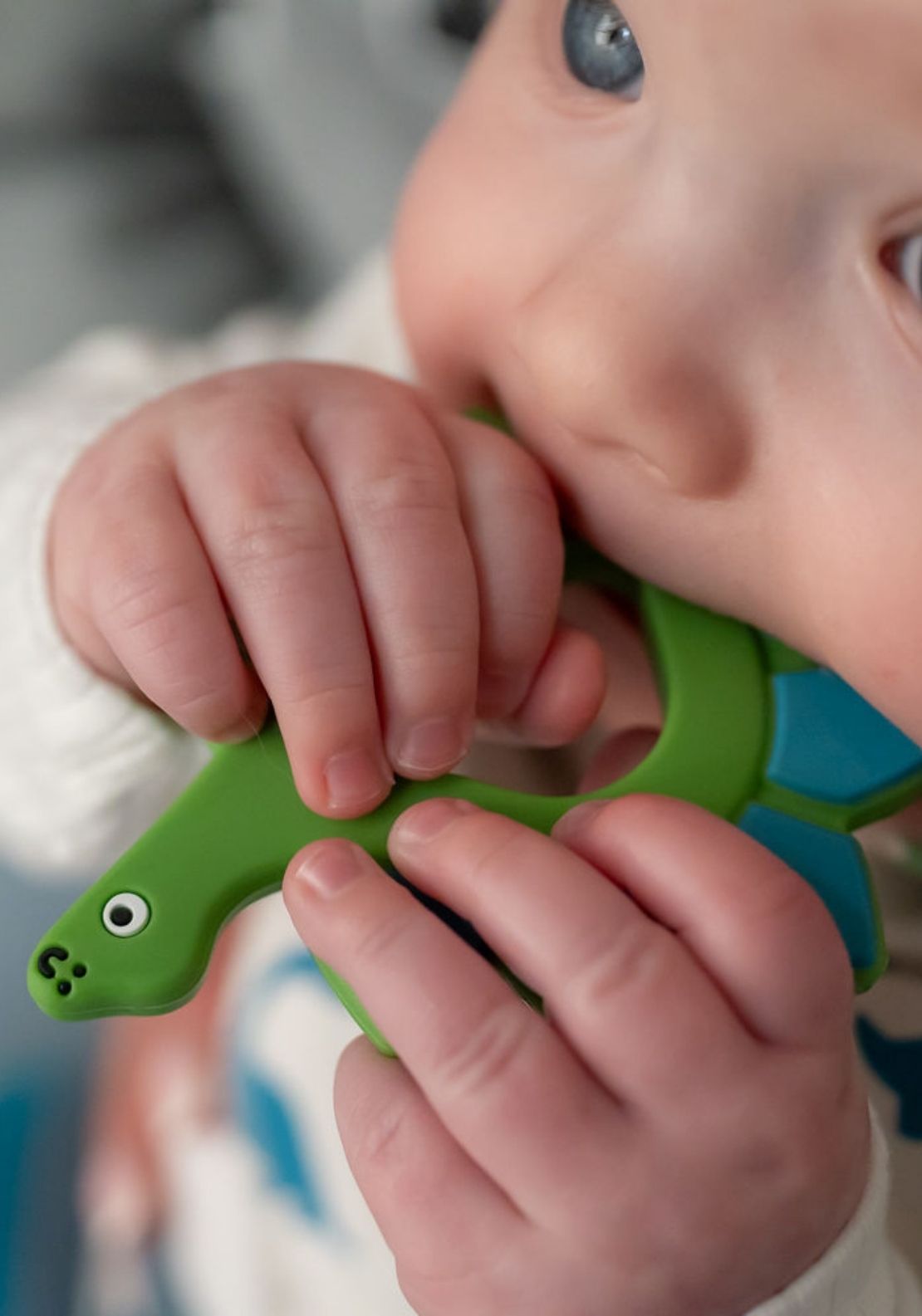 Dinosaur Teether - Green