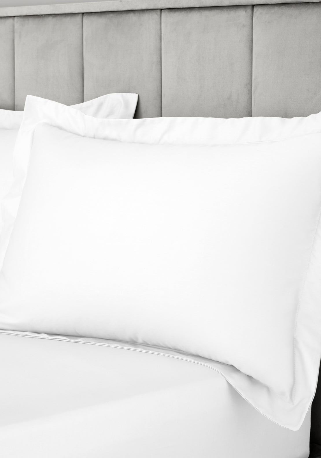 Bianca 100% Cotton Sateen 400 TC Oxford Pillowcases - Pair 2 Shaws Department Stores