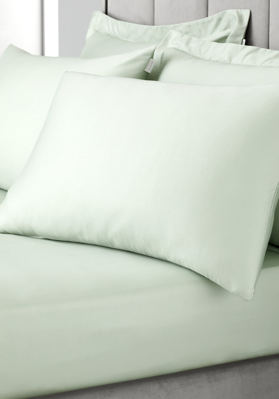 Bianca 100% Cotton Sateen 400 Thread Count Standard Pillowcase Pair - Green 2 Shaws Department Stores