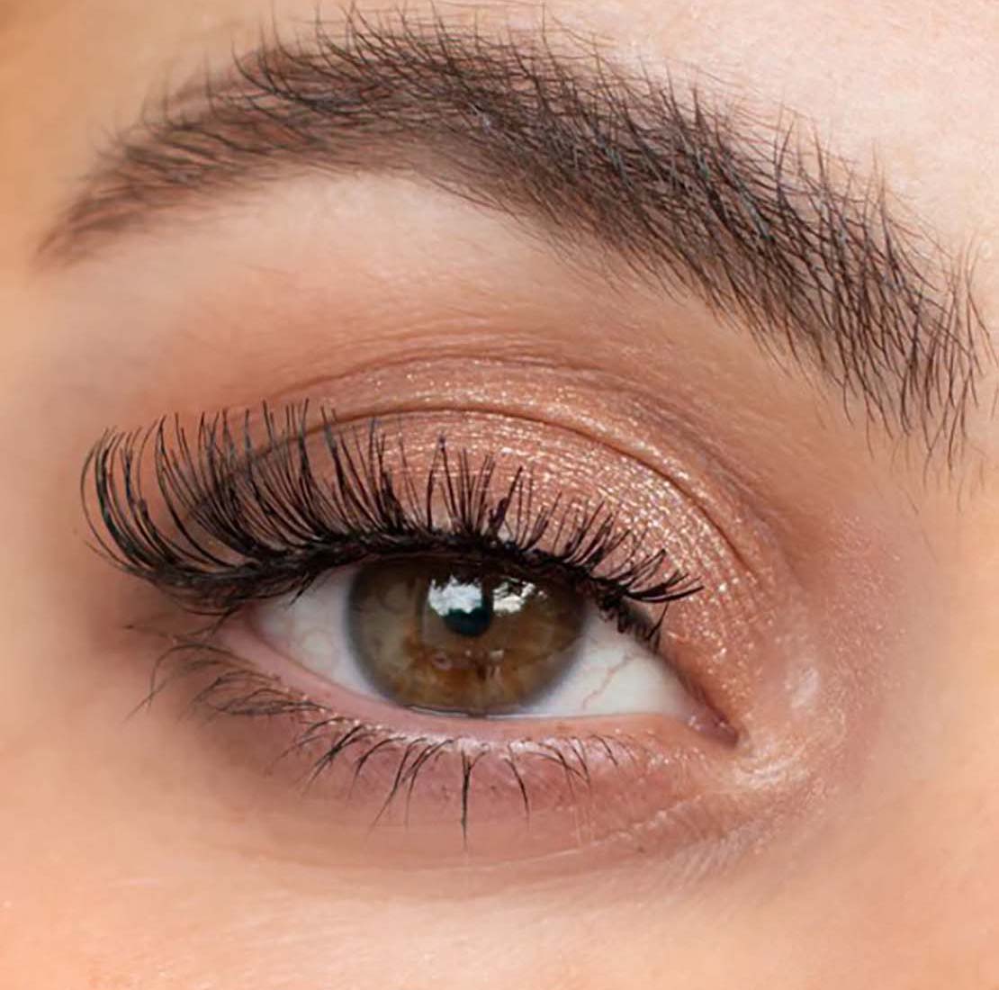 Luna By Lisa Zane Lashes 2 Shaws Department Stores