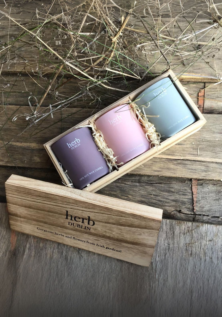 Herb Dublin Herb Pastel Trio Set 1 Shaws Department Stores