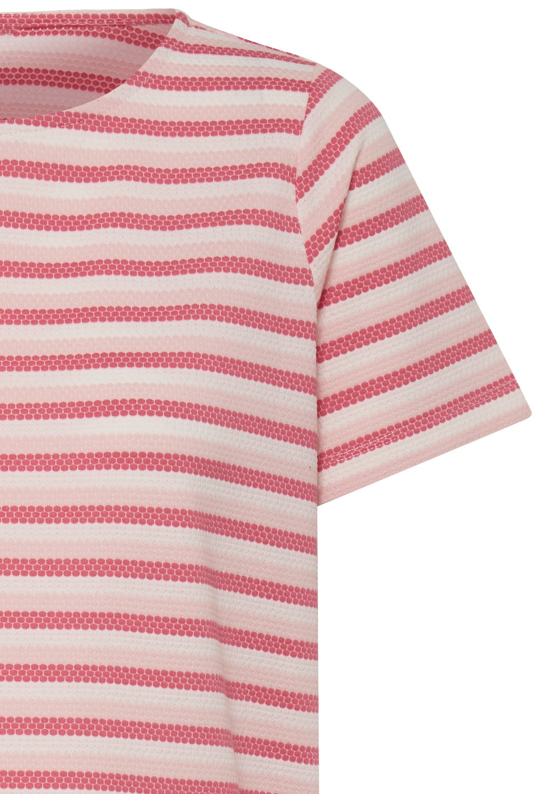 Striped Crew Neck T-Shirt - Lotus Stripe