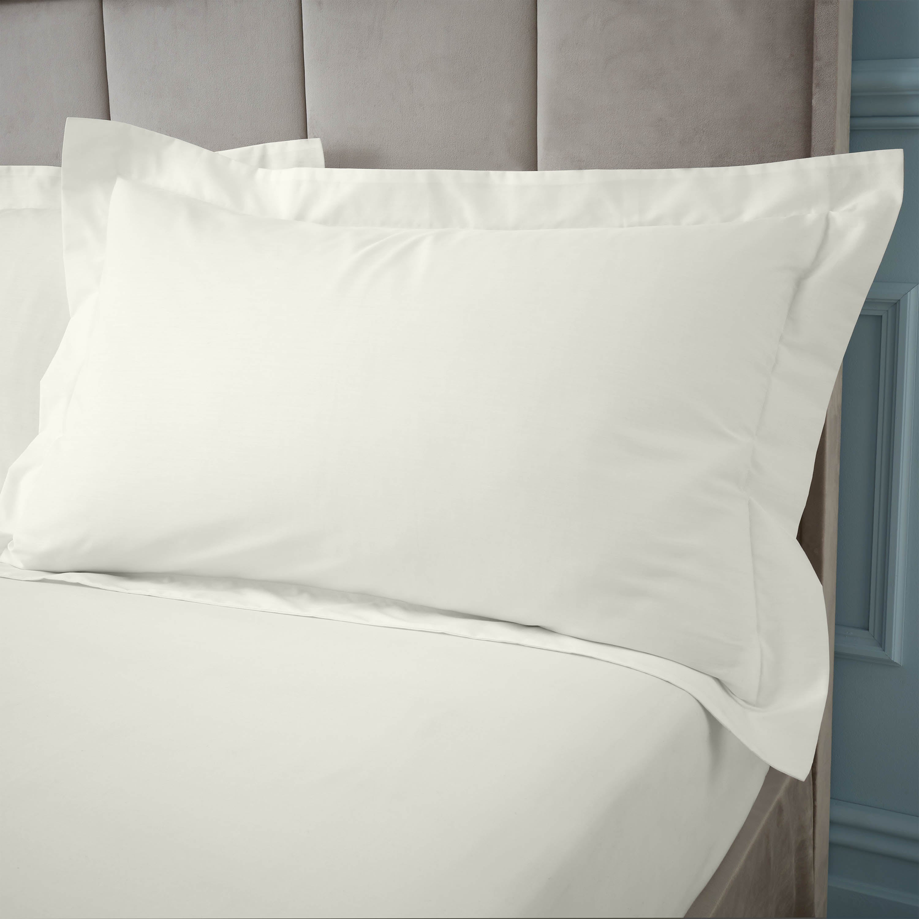 Bianca 180 Thread Count 100% Egyptian Cotton Oxford Pillowcase - Cream 1 Shaws Department Stores