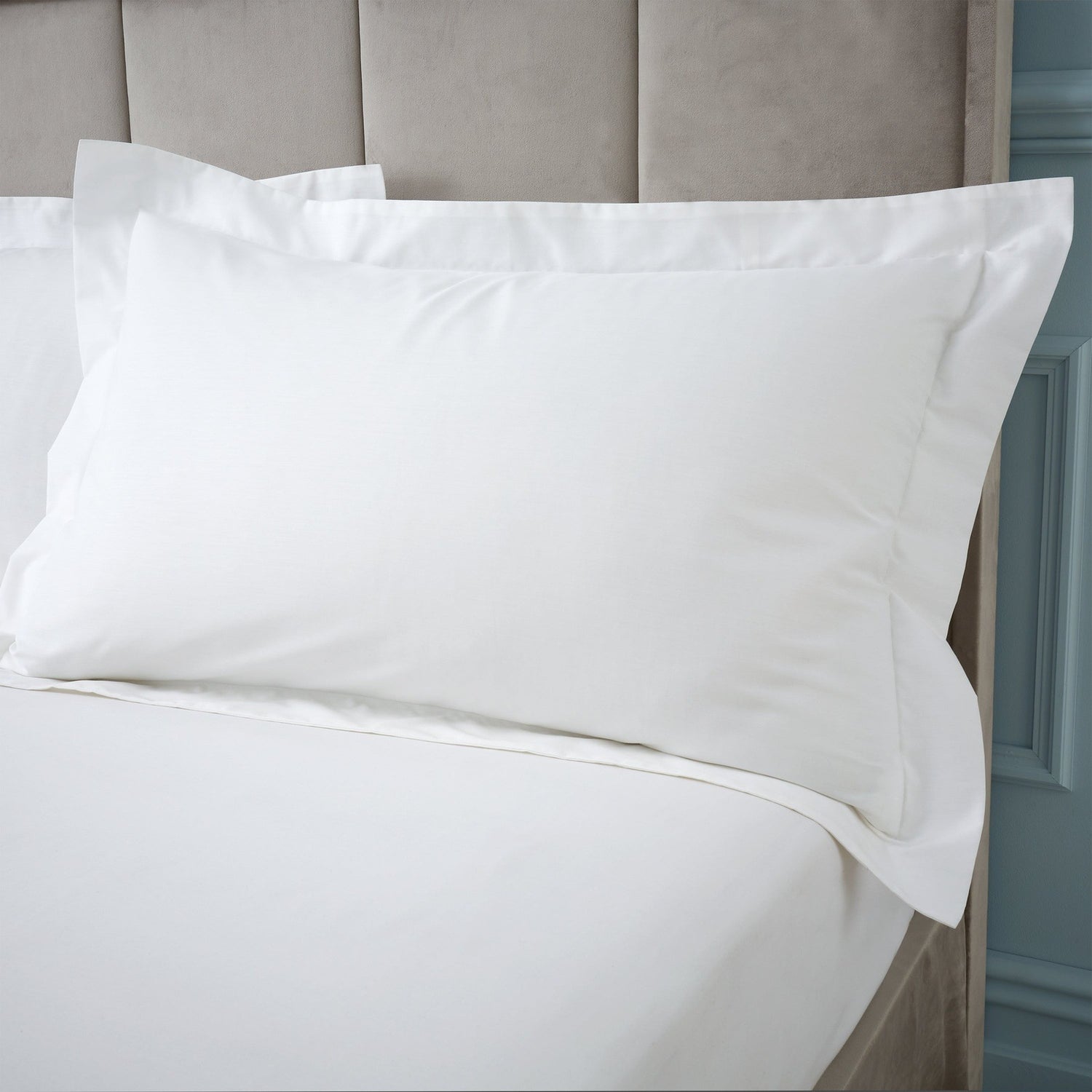 Bianca 180 Thread Count 100% Egyptian Cotton Oxford Pillowcase 1 Shaws Department Stores