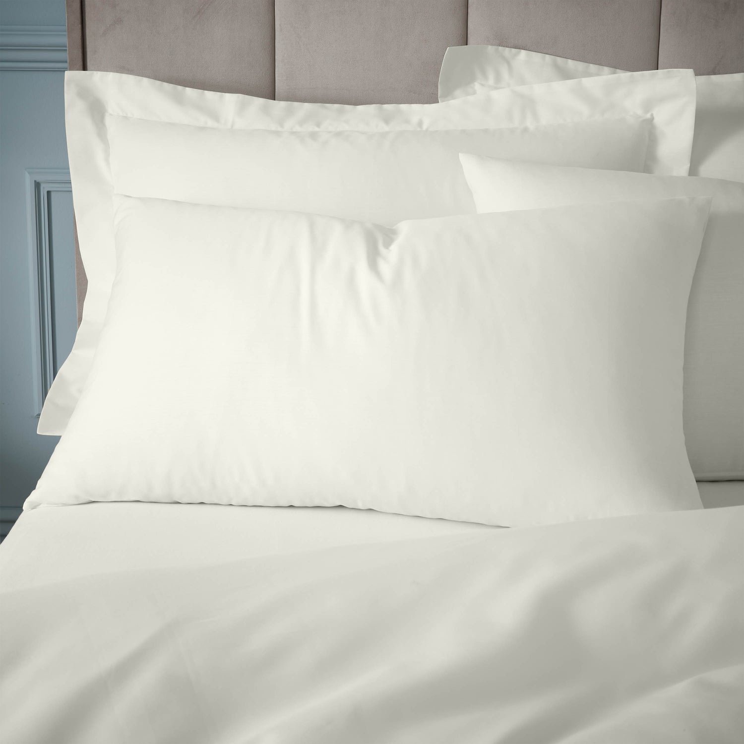 Bianca 180 Thread Count 100% Egyptian Cotton Standard Pillowcase Pair - Cream 1 Shaws Department Stores