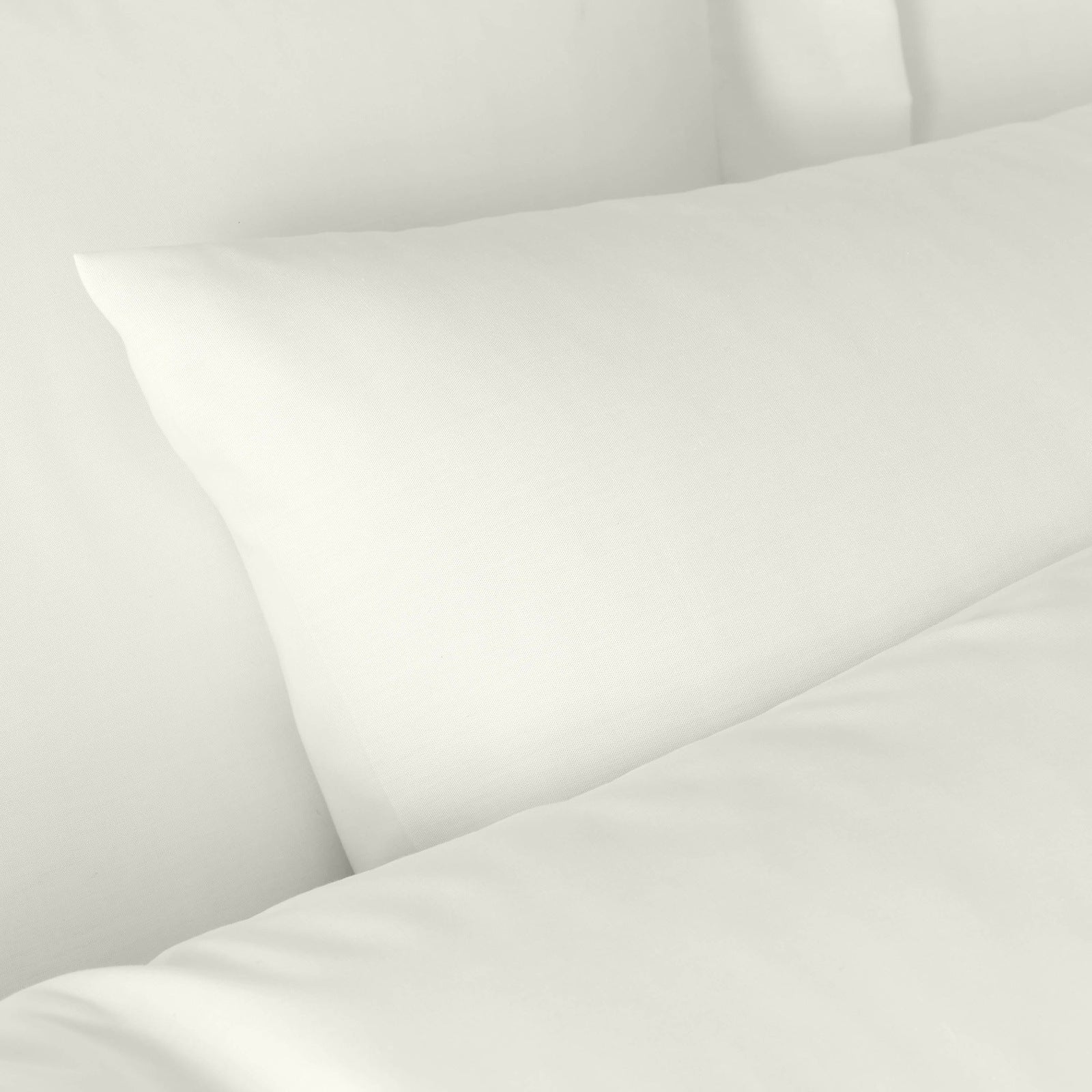 Bianca 180 Thread Count 100% Egyptian Cotton Standard Pillowcase Pair - Cream 2 Shaws Department Stores