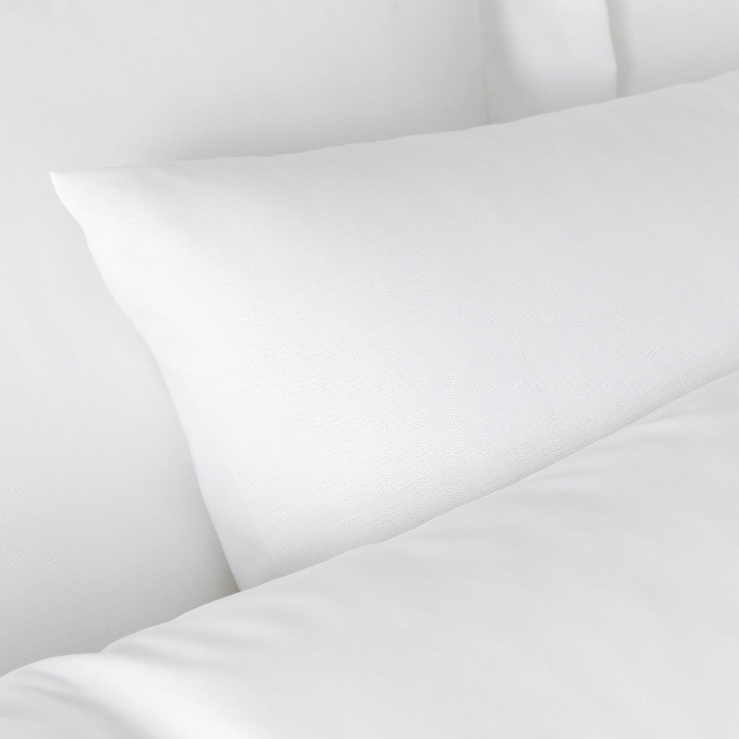 Bianca 180 Thread Count 100% Egyptian Cotton Standard Pillowcase Pair 2 Shaws Department Stores