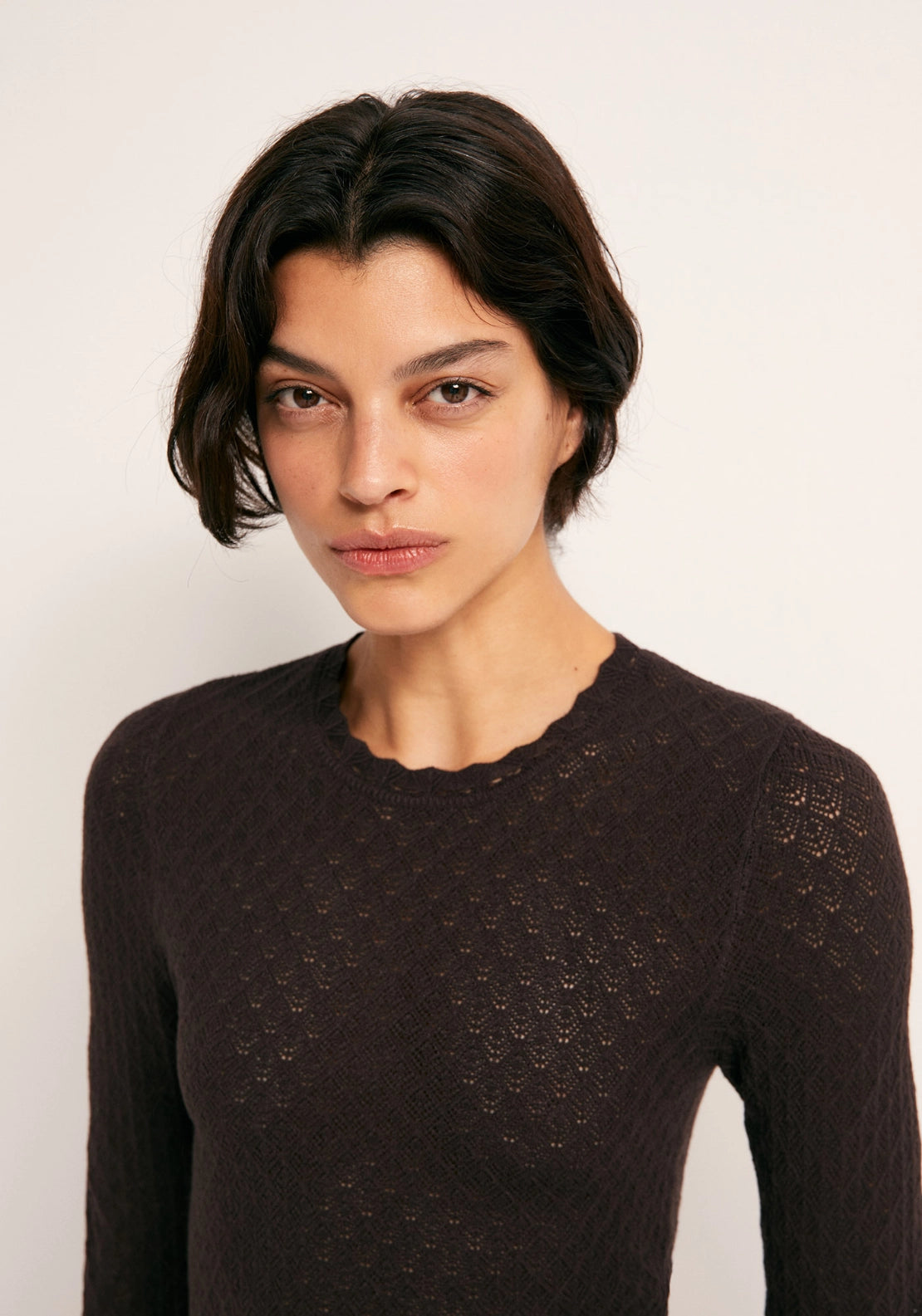 Pointelle Crew Sweater - Brown