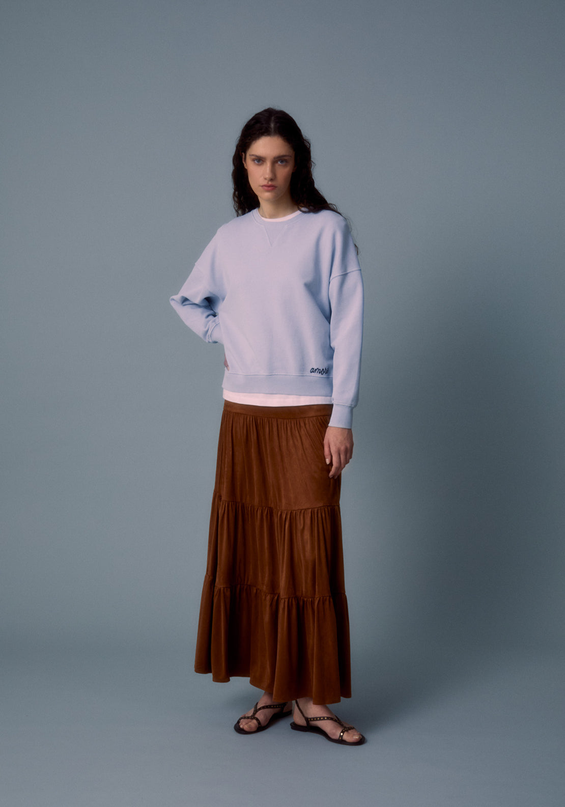 Faded Embroidered Sweatshirt - Blue