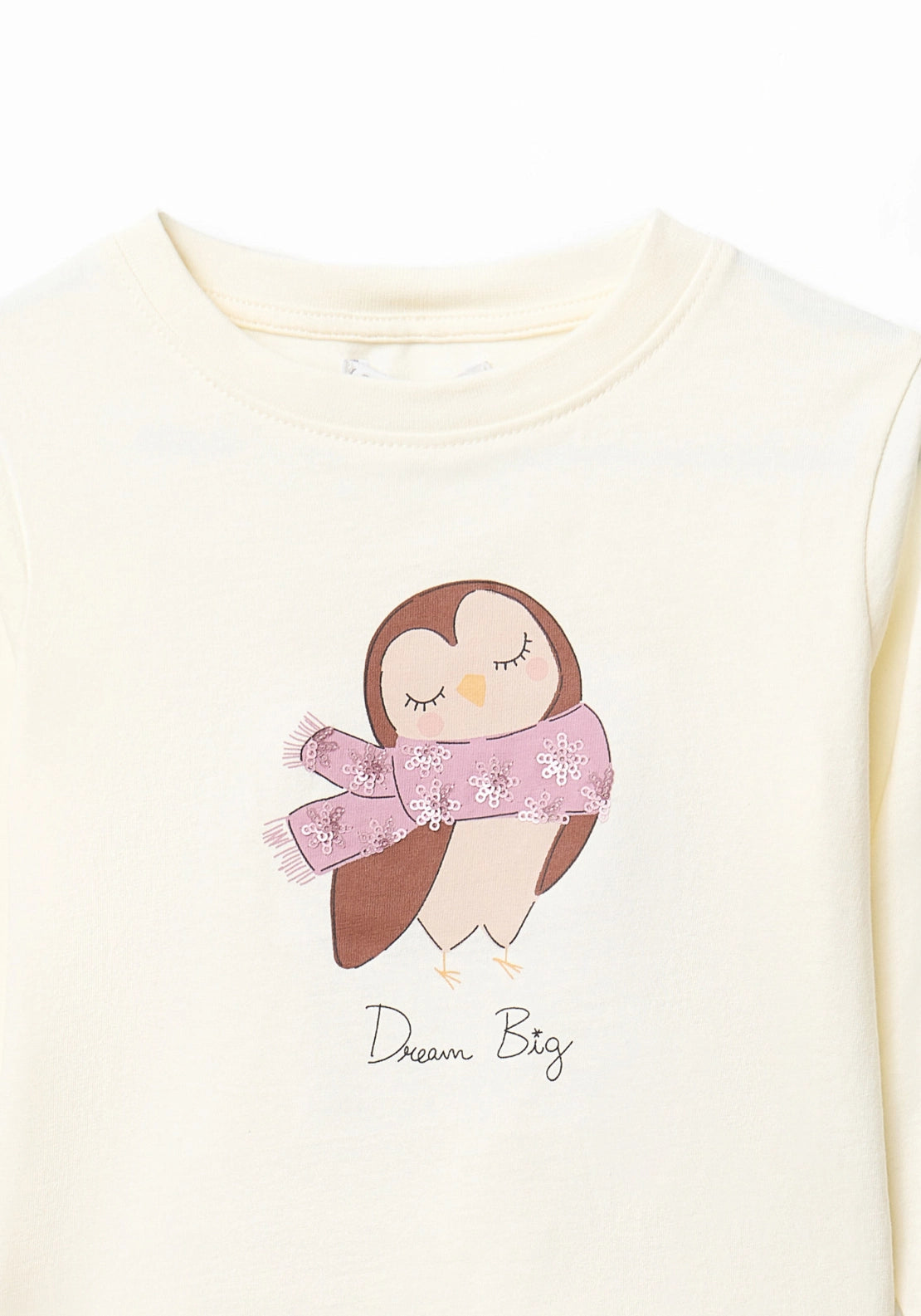 Owl Print Long Sleeve T-Shirt - Cream