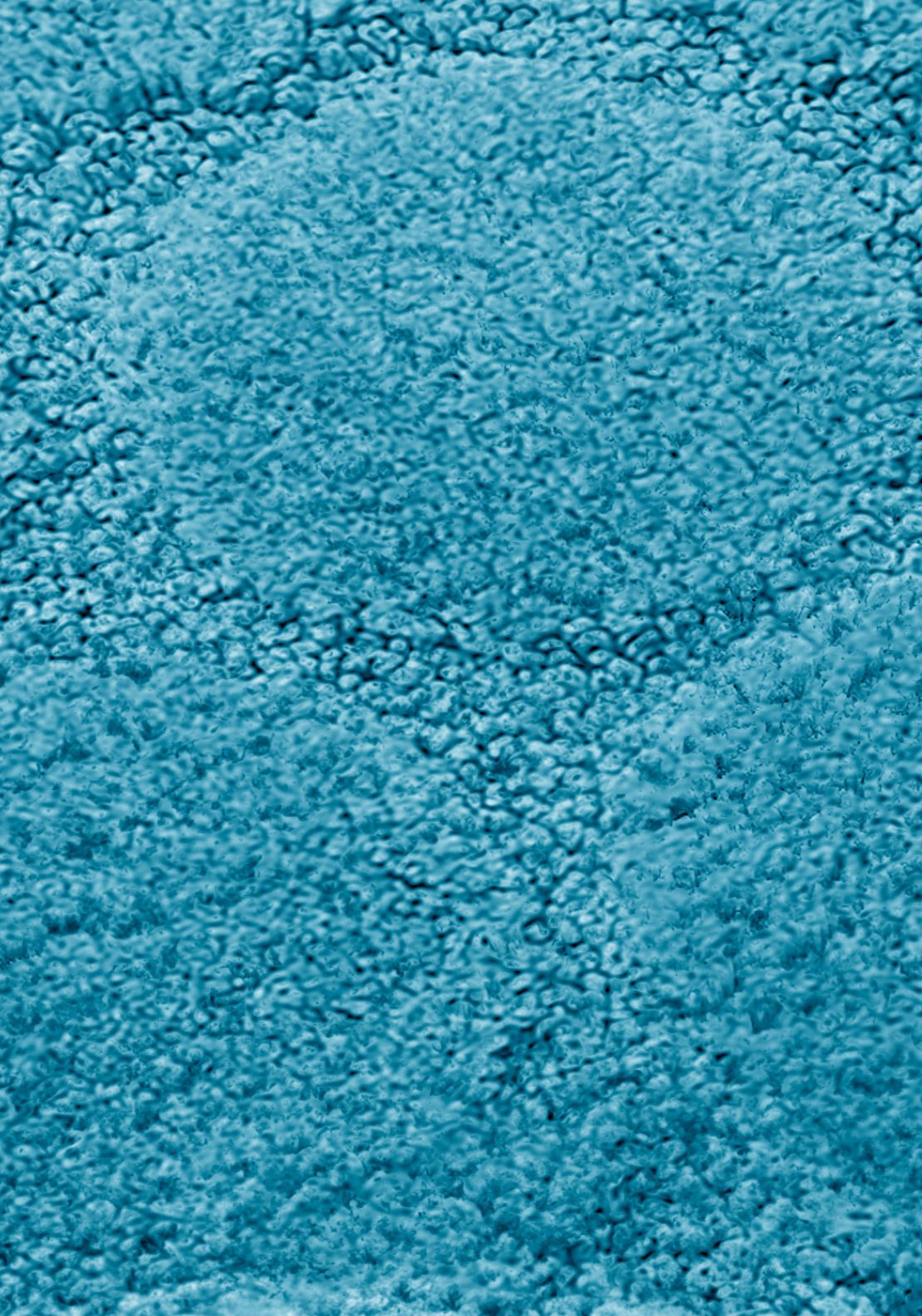 The Home Collection Cobla - Bath Mat 3 Shaws Department Stores