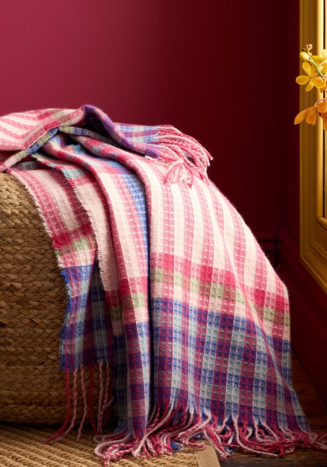 Sophie Robinson Darling Waffle Check Blanket Throw - Multi 1 Shaws Department Stores