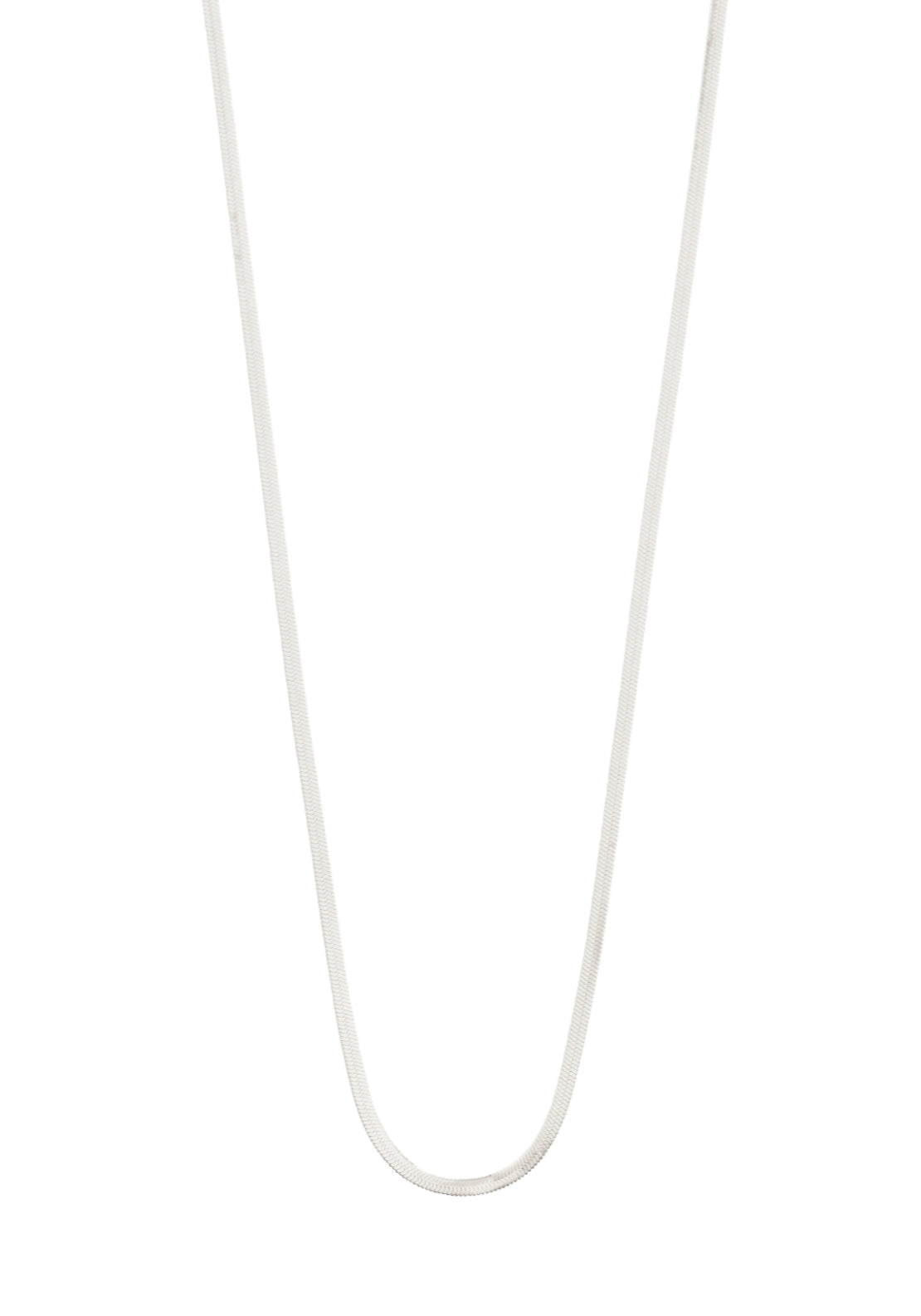 Nikita Silver Plated Necklace - Silver