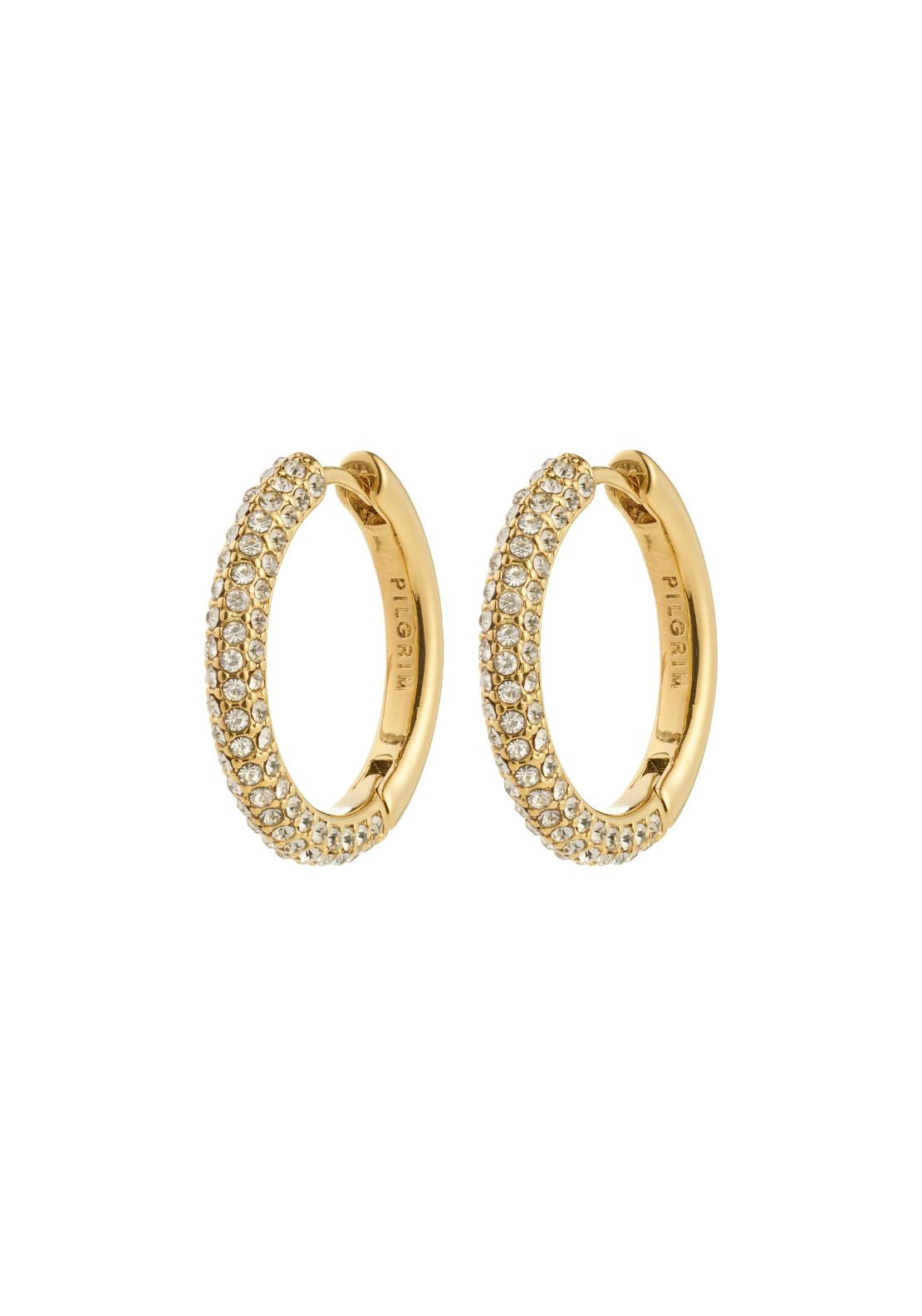 Tatum Gold Plated Large Hoop Earrings - Gold