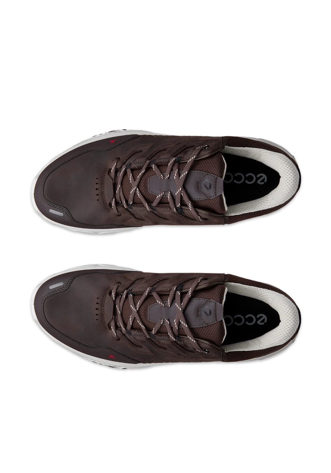 Receptor XP Laced Shoe - Mocha