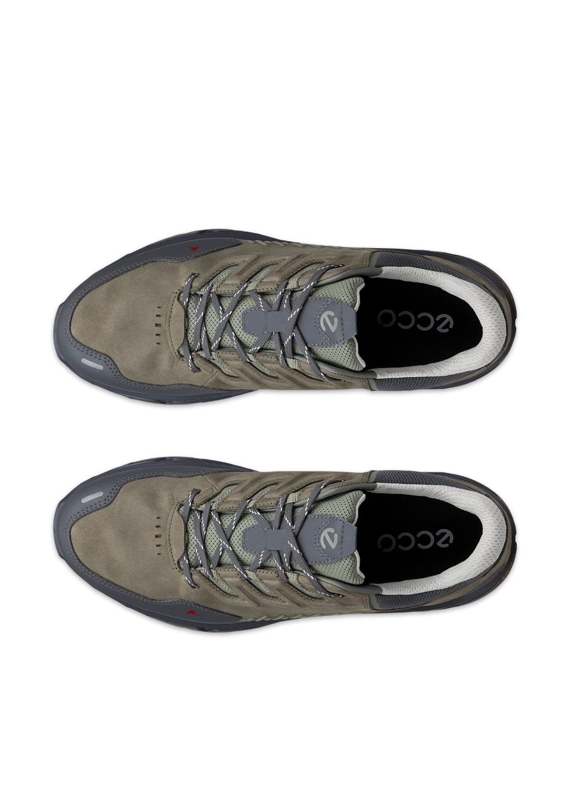Receptor XP Laced Shoe - Green / Grey