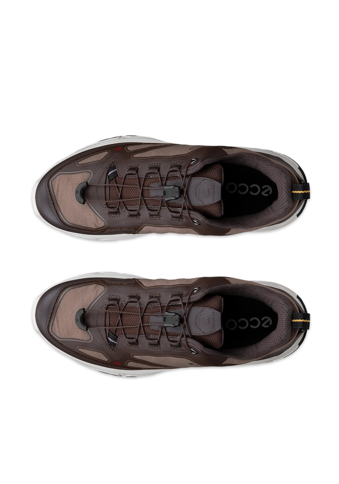 Receptor XP Speedlace Shoe - Brown