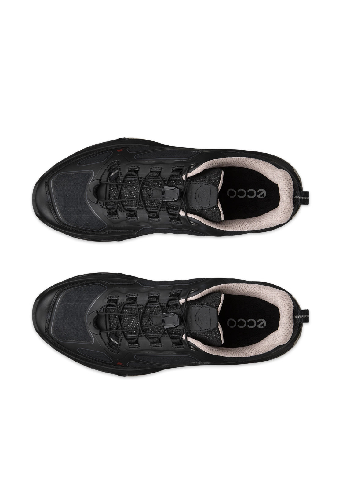 Receptor XP Speedlace Shoe - Black