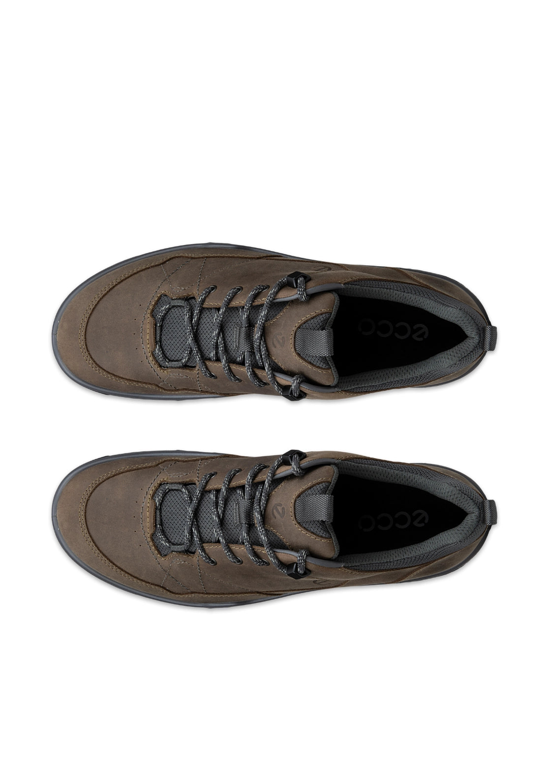 Receptor Trekk Laced Shoe - Brown