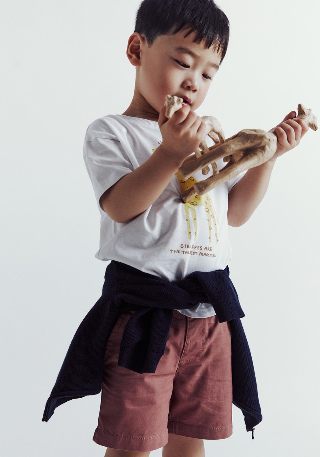 Sfera Chino Bermuda Shorts - Wine 6 Shaws Department Stores