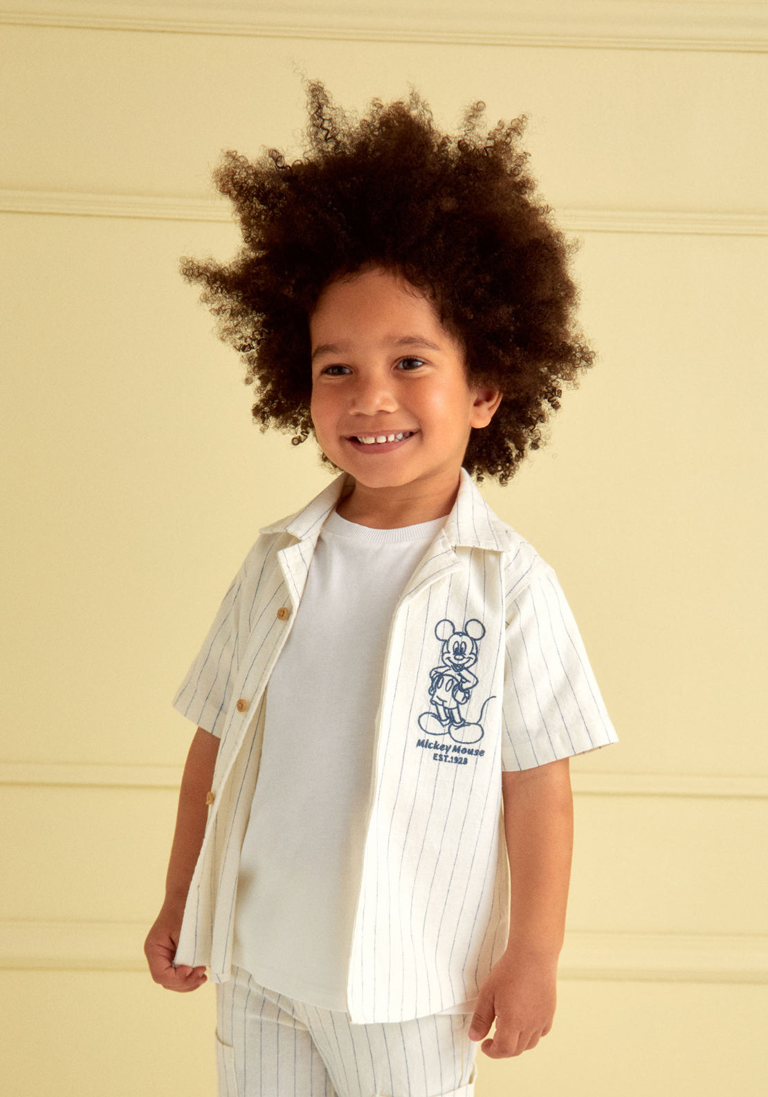 Embroidered Striped Shirt - White