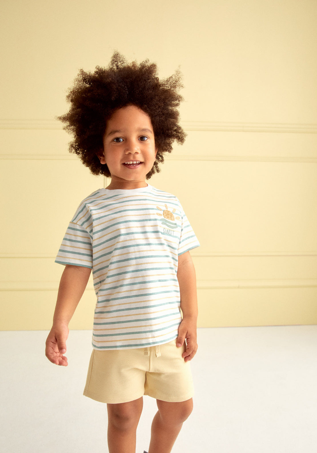 Striped Short Sleeved T-Shirt - White