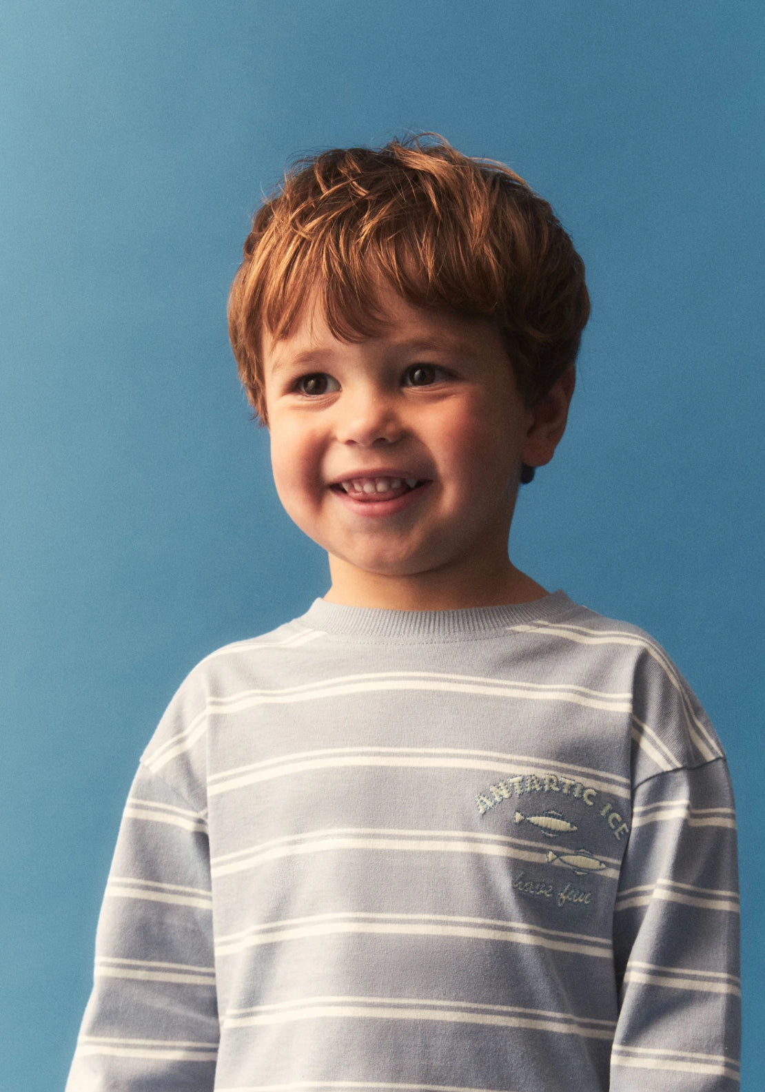 Striped Crew Neck T-Shirt - Blue