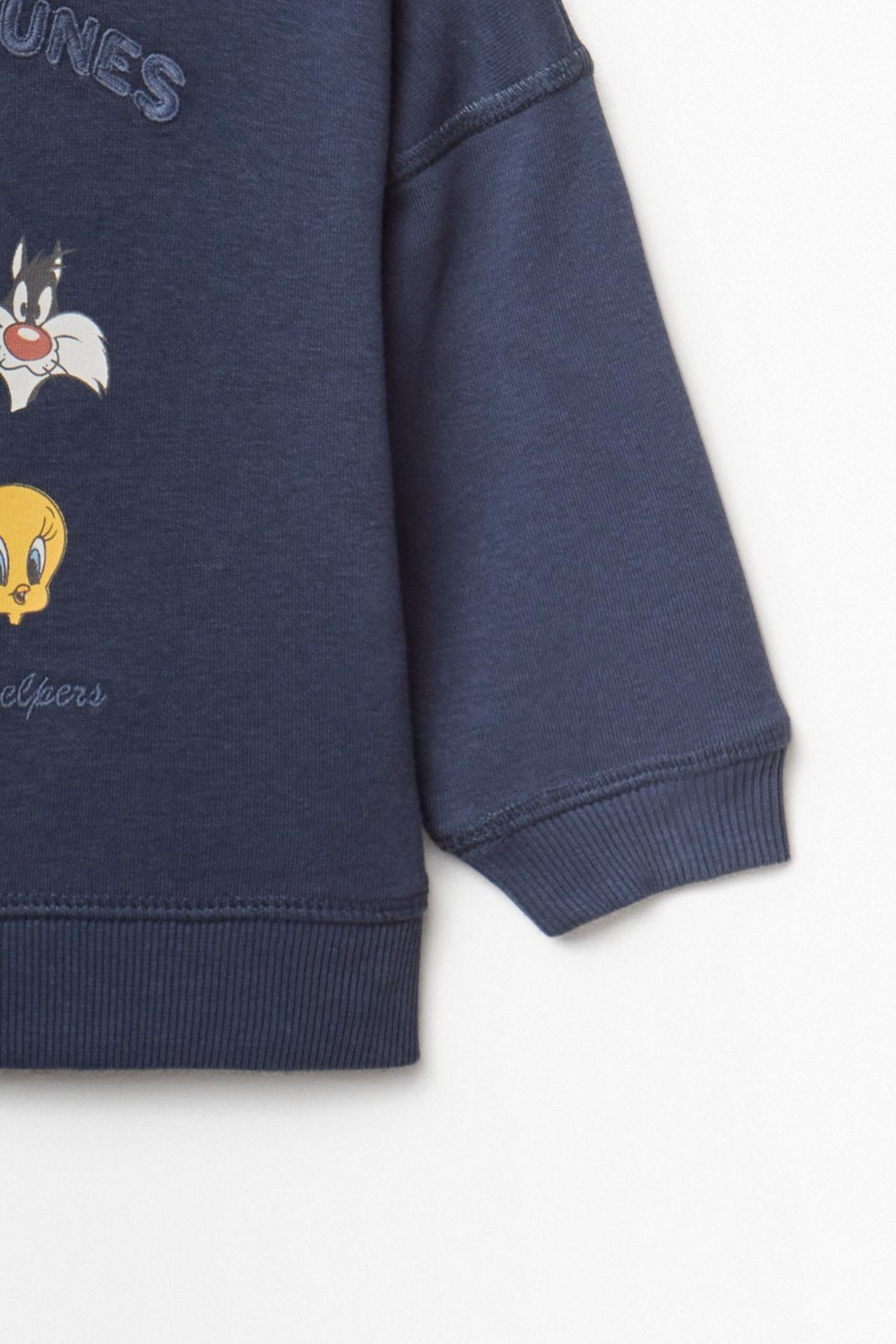 Looney Tunes Sweatshirt - Blue
