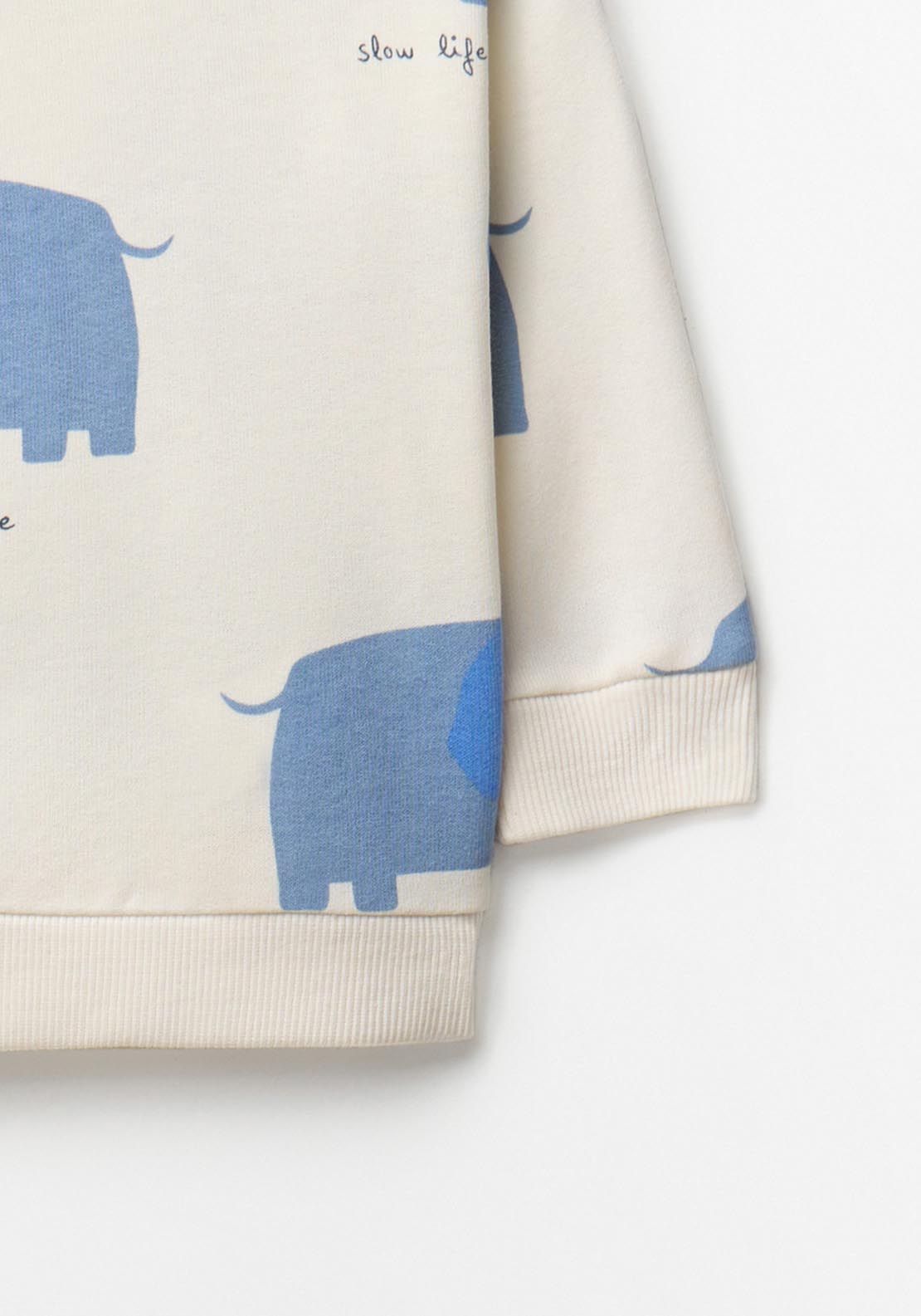 Elephant &