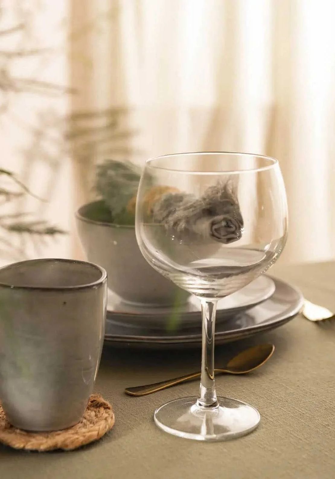 Gin Glasses Set of 4 - Clear