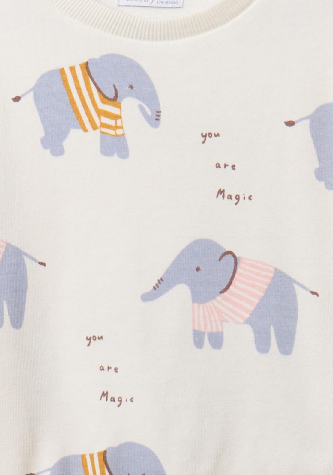 Elephant &
