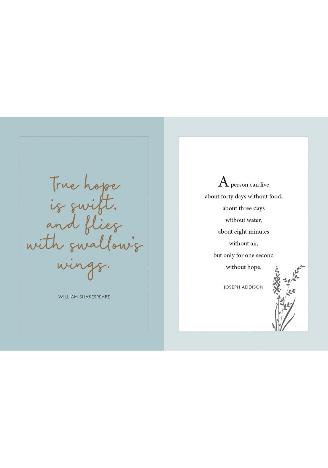 Allsorted Ltd The Little Book Of Hope 4 Shaws Department Stores