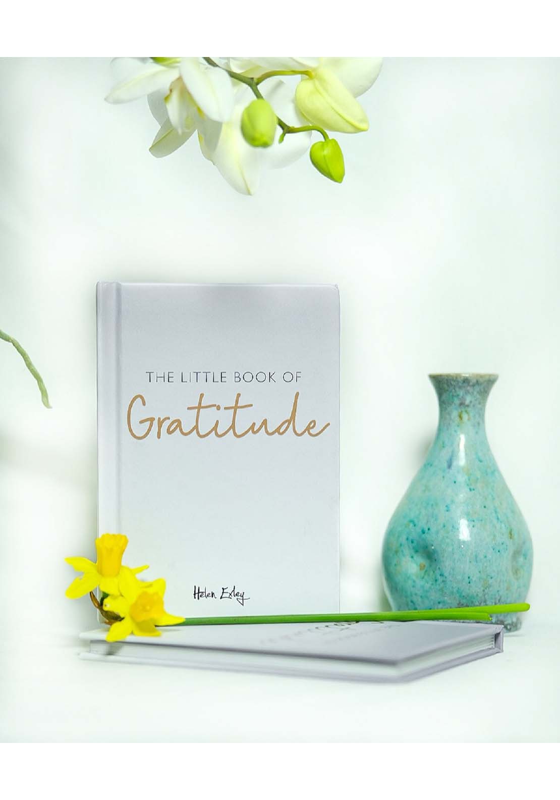 Allsorted Ltd The Little Book Of Gratitude 4 Shaws Department Stores