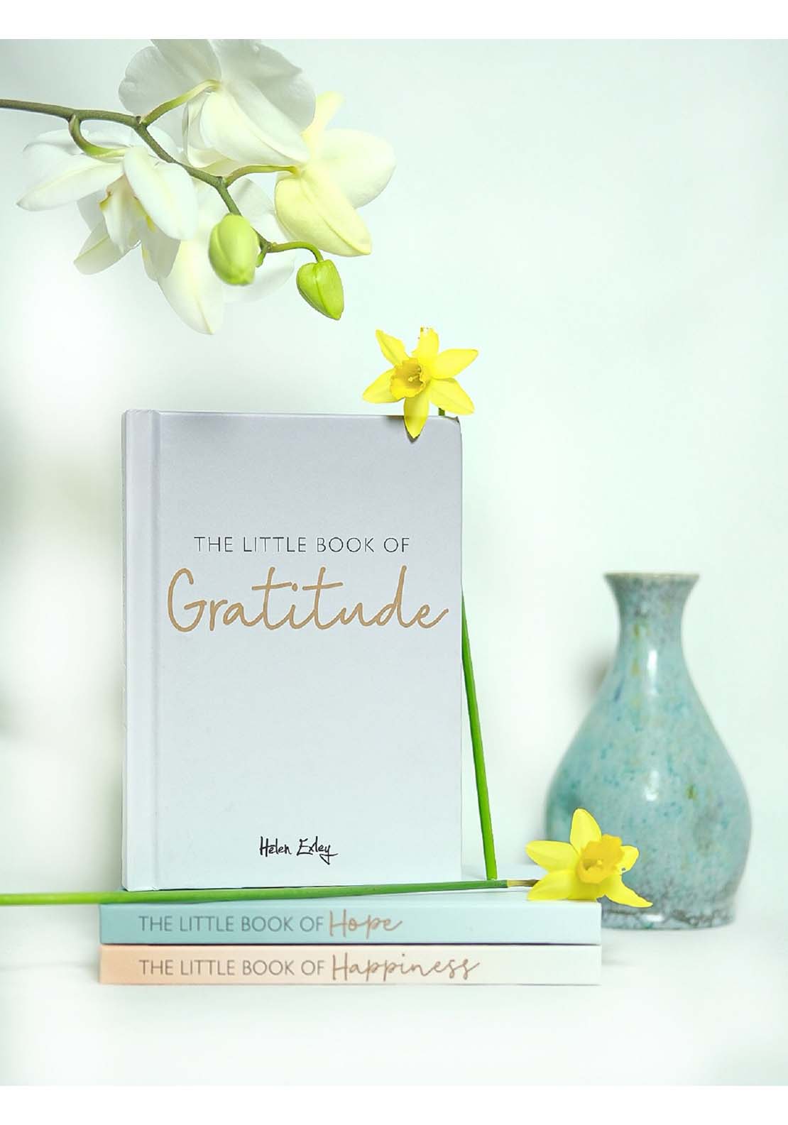 Allsorted Ltd The Little Book Of Gratitude 6 Shaws Department Stores
