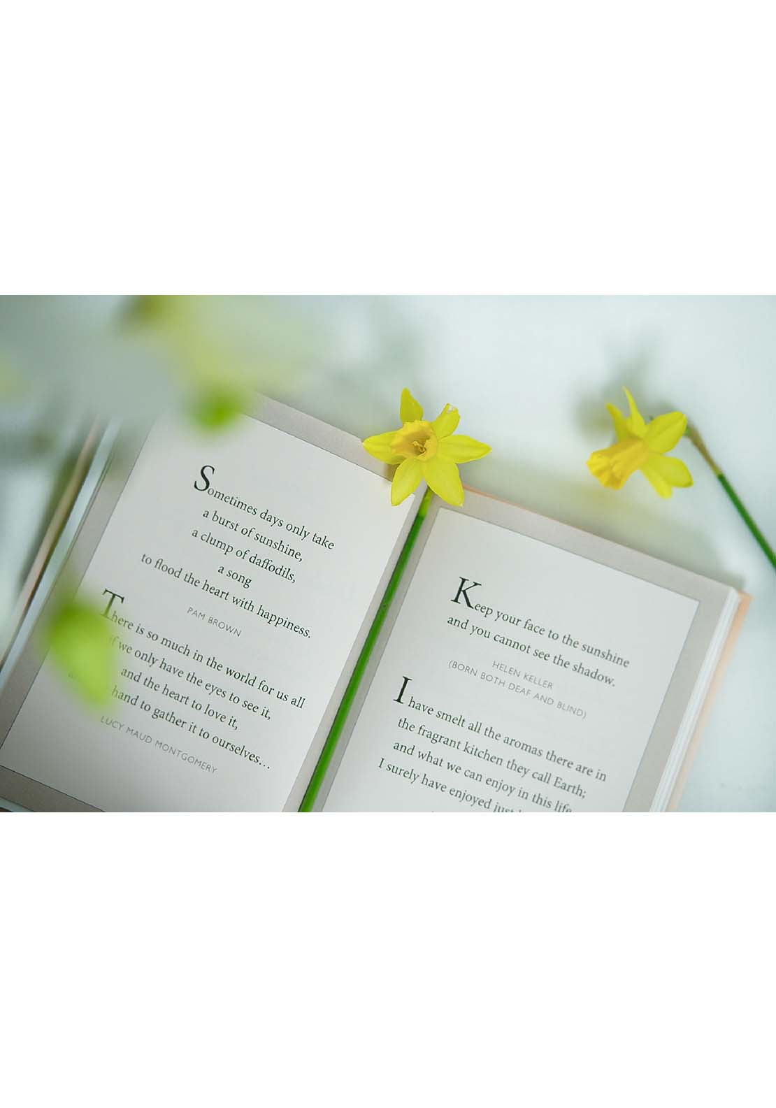 Allsorted Ltd The Little Book Of Happiness 4 Shaws Department Stores
