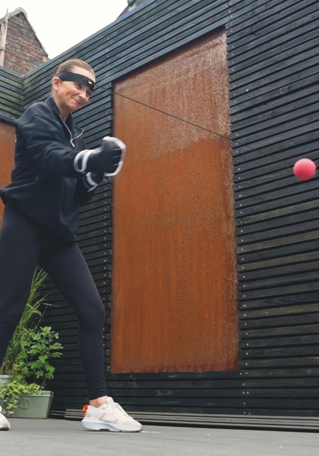 Reflex Boxing Balls - Multi