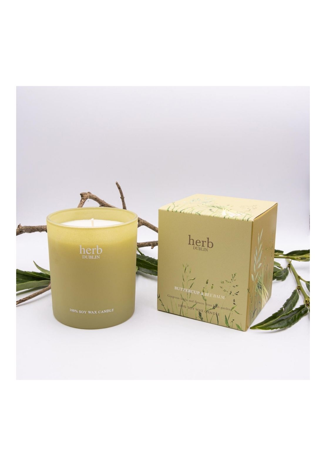 Herb Dublin Buttercup Bee Balm Boxed Candle - Yellow 1 Shaws Department Stores